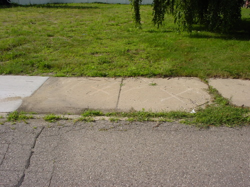 ./Gallery/2011 Bennet Lot Tree Removal/DSC06437.JPG